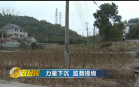 廉政经纬(22-01-25)