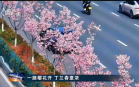 杭州新闻联播(2026年03月30日)
