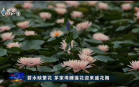 杭州新闻联播(2026年05月30日)